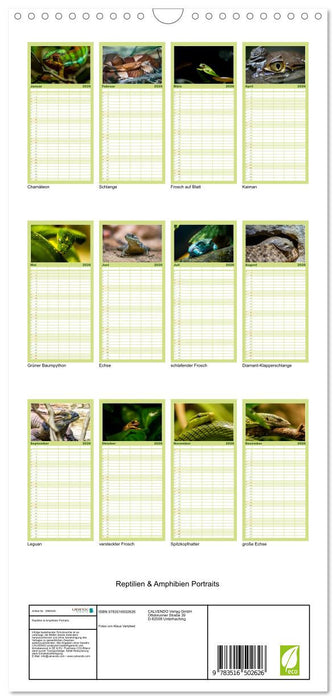 Reptilien & Amphibien Portraits (CALVENDO Familienplaner 2026)