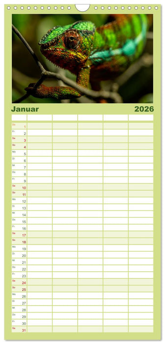 Reptilien & Amphibien Portraits (CALVENDO Familienplaner 2026)