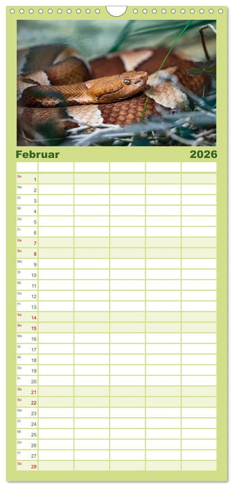 Reptilien & Amphibien Portraits (CALVENDO Familienplaner 2026)