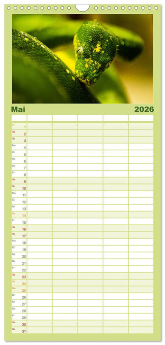 Reptilien & Amphibien Portraits (CALVENDO Familienplaner 2026)