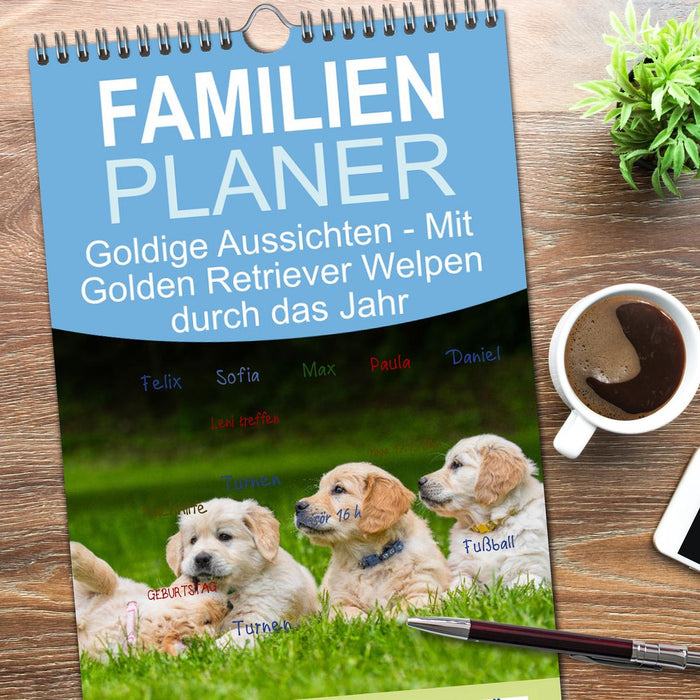 Goldige Aussichten - Mit Golden Retriever Welpen durch das Jahr (CALVENDO Familienplaner 2026)
