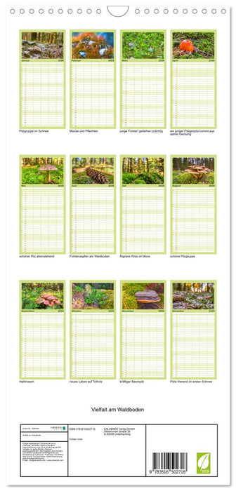 Vielfalt am Waldboden (CALVENDO Familienplaner 2026)