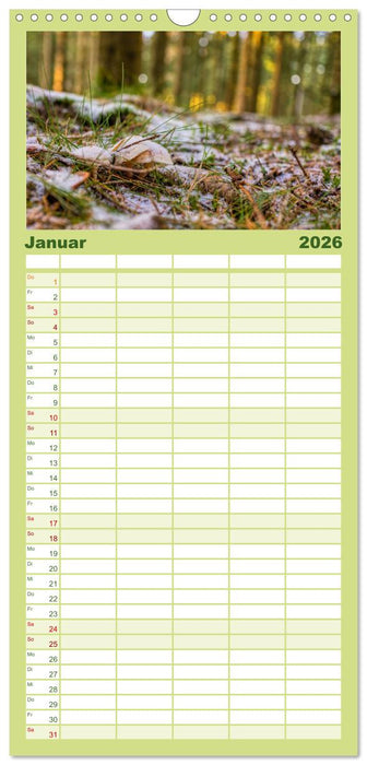Vielfalt am Waldboden (CALVENDO Familienplaner 2026)