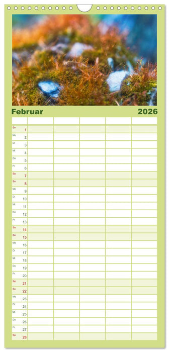 Vielfalt am Waldboden (CALVENDO Familienplaner 2026)