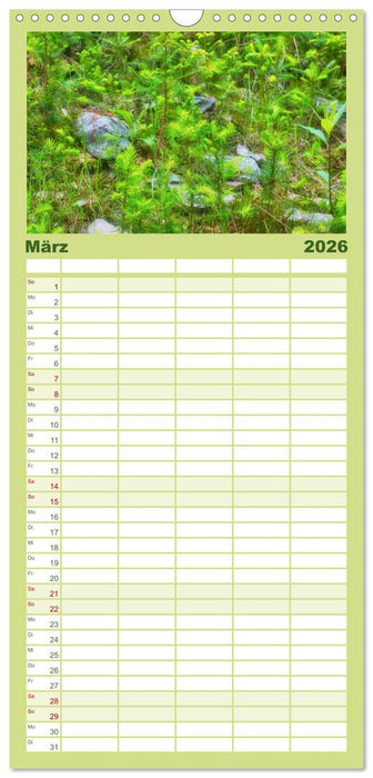 Vielfalt am Waldboden (CALVENDO Familienplaner 2026)