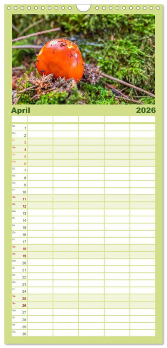 Vielfalt am Waldboden (CALVENDO Familienplaner 2026)