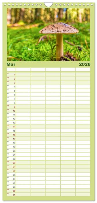 Vielfalt am Waldboden (CALVENDO Familienplaner 2026)