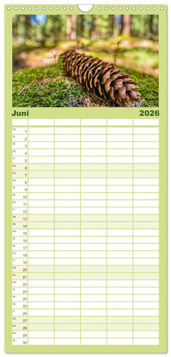 Vielfalt am Waldboden (CALVENDO Familienplaner 2026)