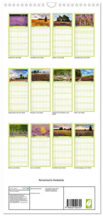 Romantische Heideblüte (CALVENDO Familienplaner 2026)