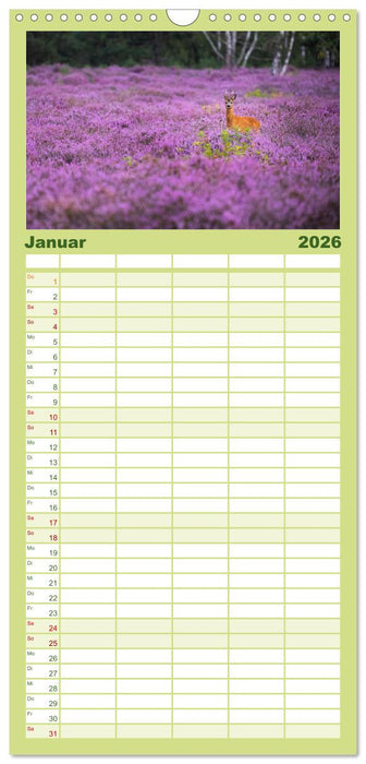 Romantische Heideblüte (CALVENDO Familienplaner 2026)