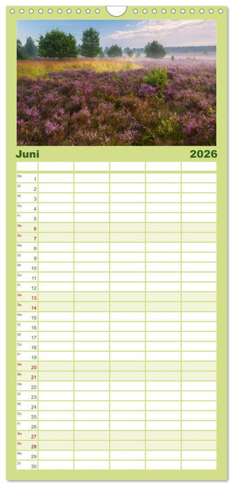 Romantische Heideblüte (CALVENDO Familienplaner 2026)
