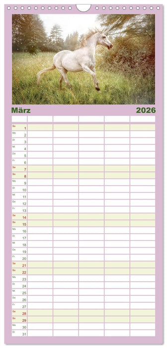 Einhorn Zauber - anmutige Einhornbilder (CALVENDO Familienplaner 2026)