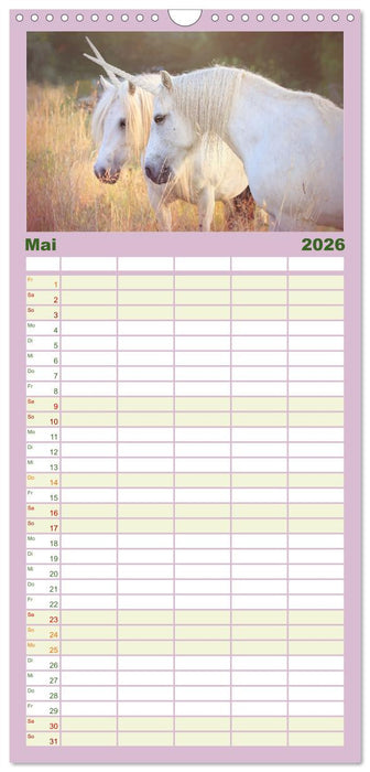 Einhorn Zauber - anmutige Einhornbilder (CALVENDO Familienplaner 2026)