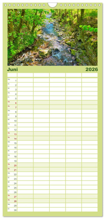 Faszination Thüringer Wald (CALVENDO Familienplaner 2026)