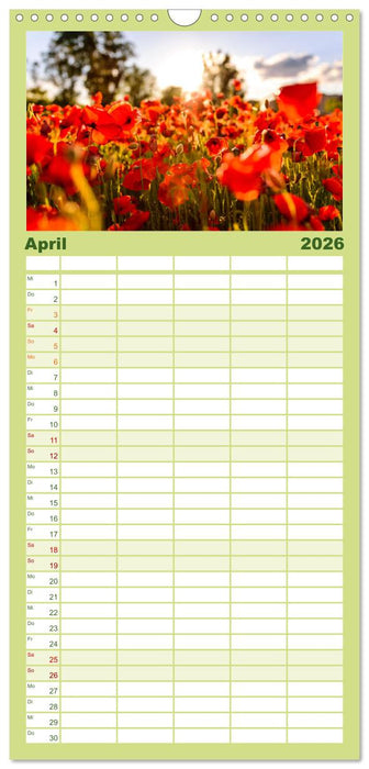 Spanien - ein Land zum Verlieben. (CALVENDO Familienplaner 2026)