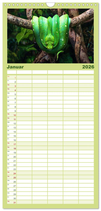 Reptilien - Tierische Farbenpracht (CALVENDO Familienplaner 2026)