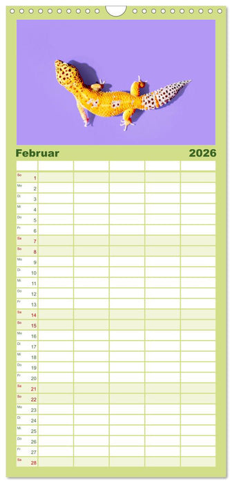 Reptilien - Tierische Farbenpracht (CALVENDO Familienplaner 2026)