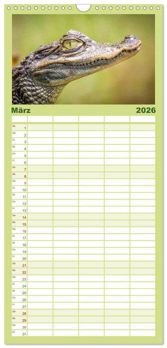 Reptilien - Tierische Farbenpracht (CALVENDO Familienplaner 2026)