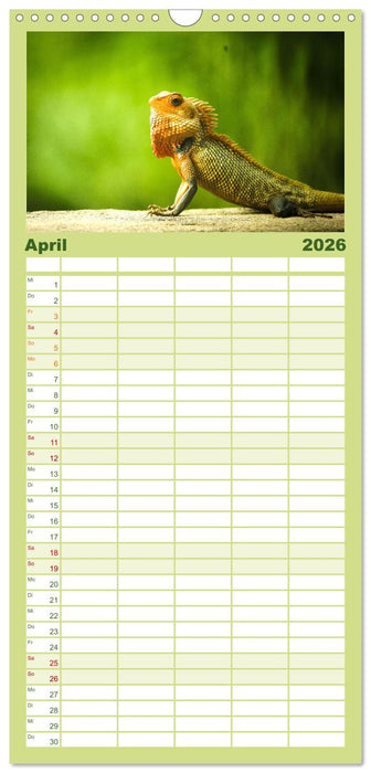 Reptilien - Tierische Farbenpracht (CALVENDO Familienplaner 2026)