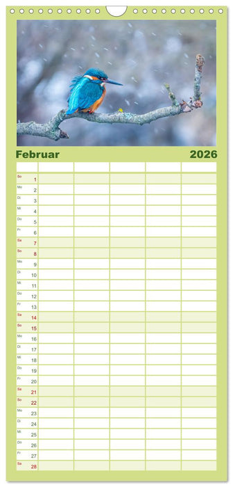 Naturschönheiten im Biosphärerenreservat Rhön (CALVENDO Familienplaner 2026)