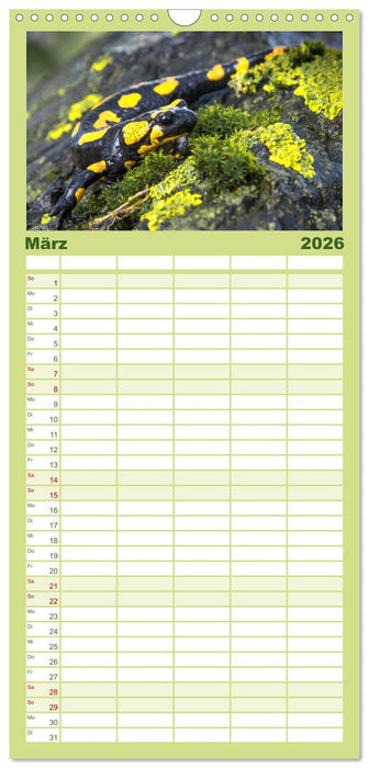 Naturschönheiten im Biosphärerenreservat Rhön (CALVENDO Familienplaner 2026)