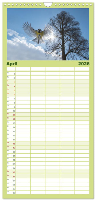 Naturschönheiten im Biosphärerenreservat Rhön (CALVENDO Familienplaner 2026)