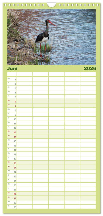 Naturschönheiten im Biosphärerenreservat Rhön (CALVENDO Familienplaner 2026)