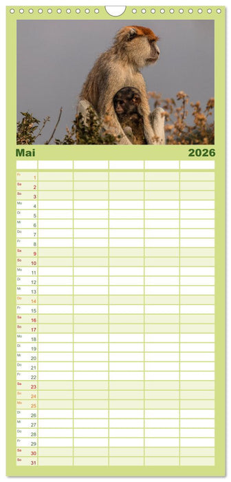 Uganda - ein Land der Vielfalt (CALVENDO Familienplaner 2026)