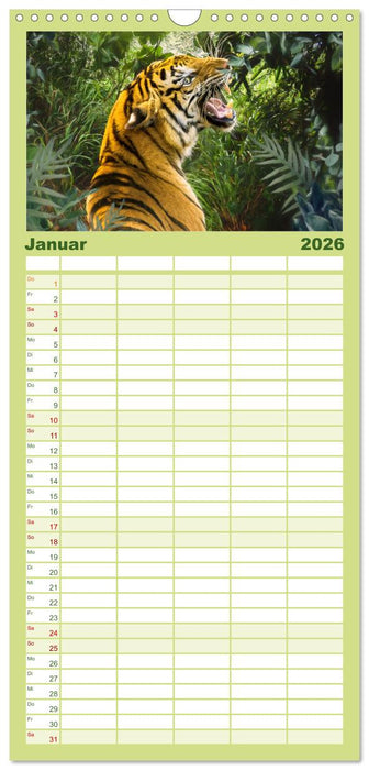 Hallo Dschungel - Artwork (CALVENDO Familienplaner 2026)