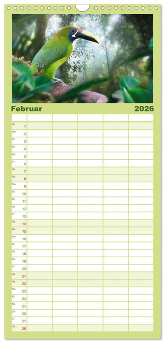 Hallo Dschungel - Artwork (CALVENDO Familienplaner 2026)