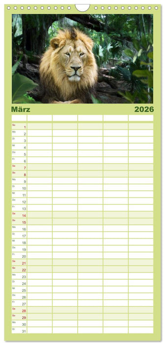 Hallo Dschungel - Artwork (CALVENDO Familienplaner 2026)