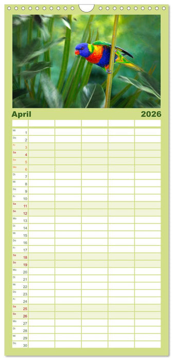 Hallo Dschungel - Artwork (CALVENDO Familienplaner 2026)