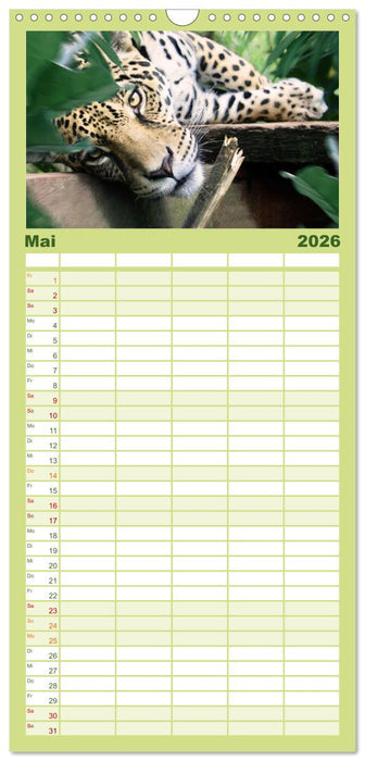 Hallo Dschungel - Artwork (CALVENDO Familienplaner 2026)