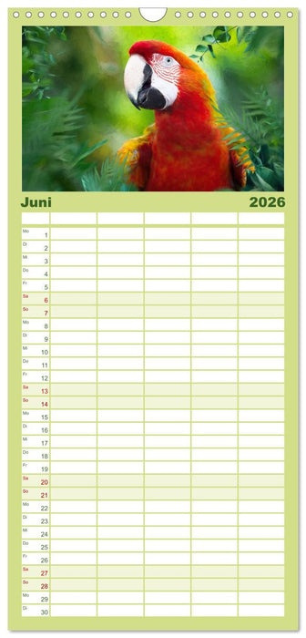 Hallo Dschungel - Artwork (CALVENDO Familienplaner 2026)