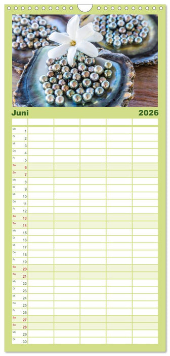 Südsee Inseln - Eine Reise ins Paradies (CALVENDO Familienplaner 2026)