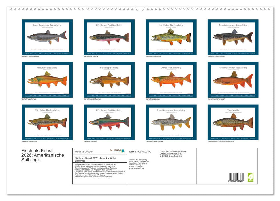 Fisch als Kunst 2026: Amerikanische Saiblinge (CALVENDO Wandkalender 2026)