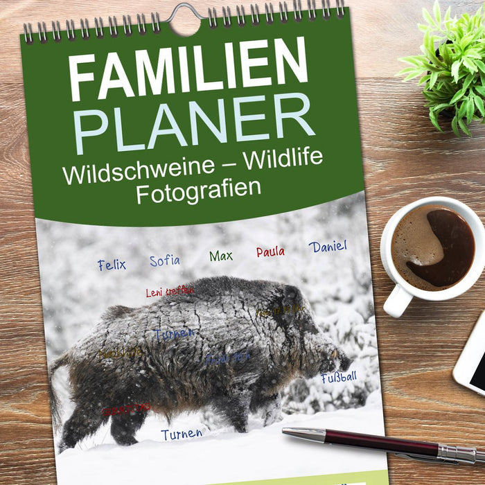 Wildschweine – Wildlife Fotografien (CALVENDO Familienplaner 2026)