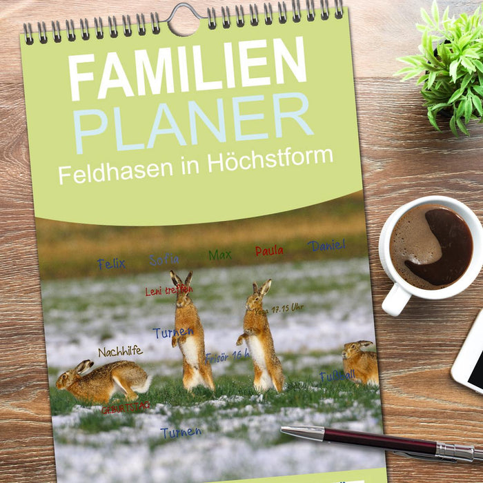 Feldhasen in Höchstform (CALVENDO Familienplaner 2026)