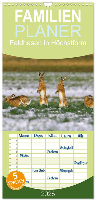 Feldhasen in Höchstform (CALVENDO Familienplaner 2026)