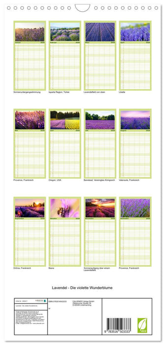 Lavendel - Die violette Wunderblume (CALVENDO Familienplaner 2026)