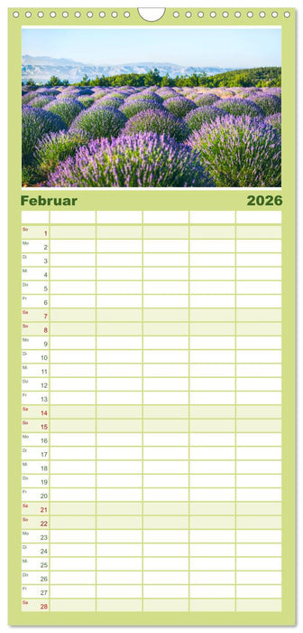 Lavendel - Die violette Wunderblume (CALVENDO Familienplaner 2026)