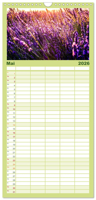 Lavendel - Die violette Wunderblume (CALVENDO Familienplaner 2026)
