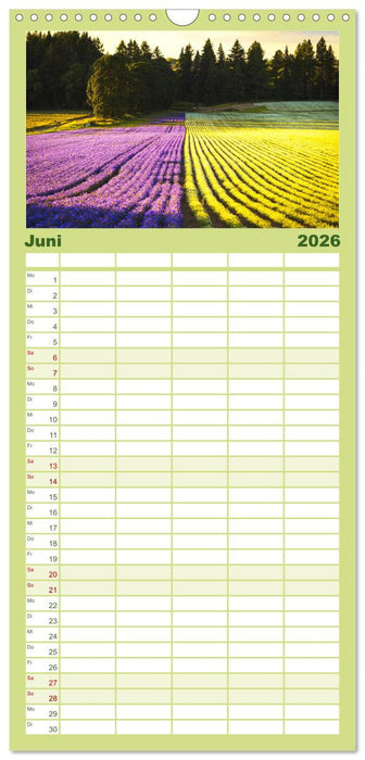 Lavendel - Die violette Wunderblume (CALVENDO Familienplaner 2026)