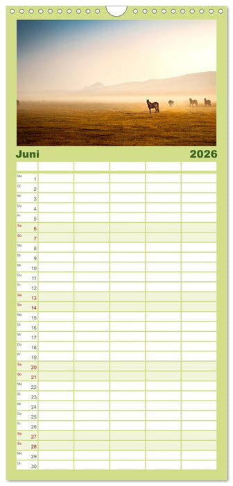 Mystische Nebellandschaften (CALVENDO Familienplaner 2026)