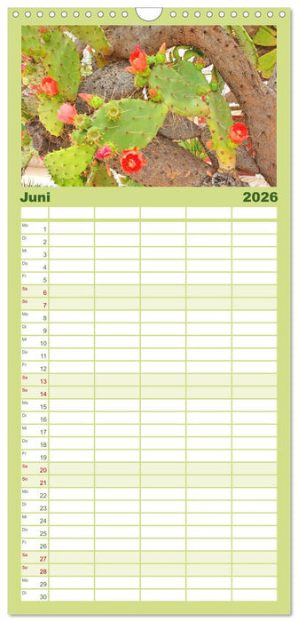 Die Insel Cres - Raue Schönheit in Kroatien (CALVENDO Familienplaner 2026)