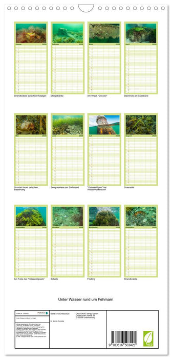 Unter Wasser rund um Fehmarn (CALVENDO Familienplaner 2026)