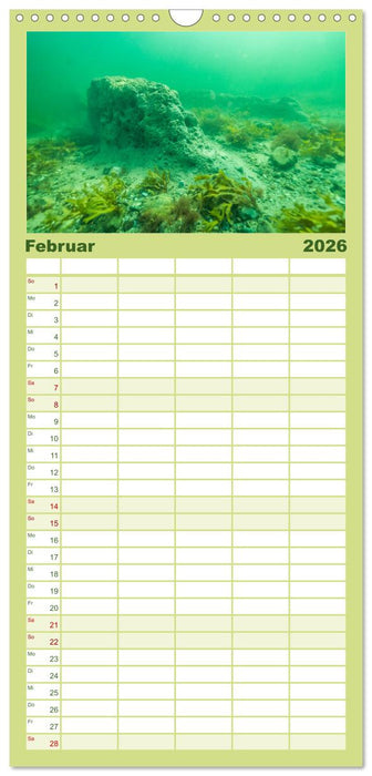 Unter Wasser rund um Fehmarn (CALVENDO Familienplaner 2026)