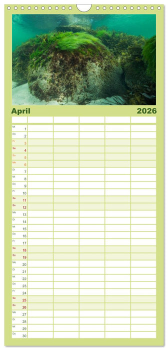 Unter Wasser rund um Fehmarn (CALVENDO Familienplaner 2026)