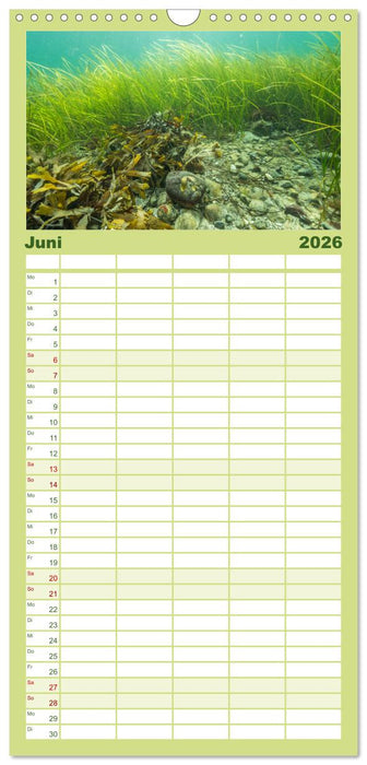 Unter Wasser rund um Fehmarn (CALVENDO Familienplaner 2026)