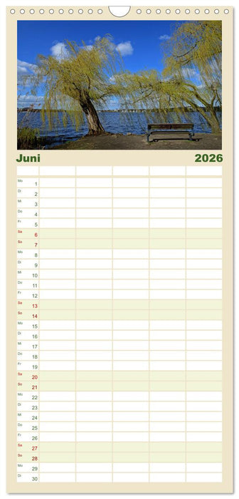 Alsteransichten in Hamburg (CALVENDO Familienplaner 2026)